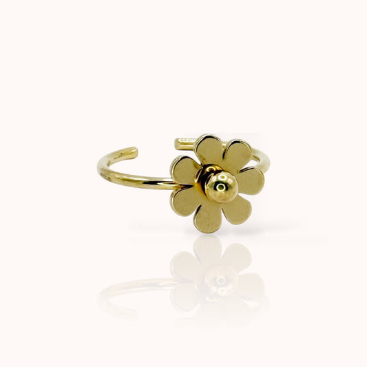 Anillo Florea