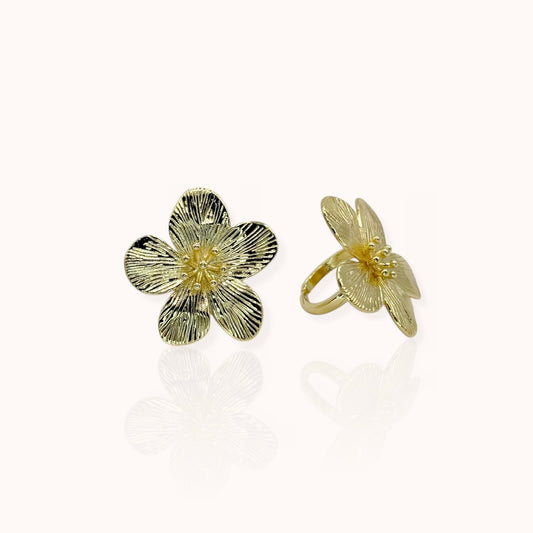 Anillo Sumae