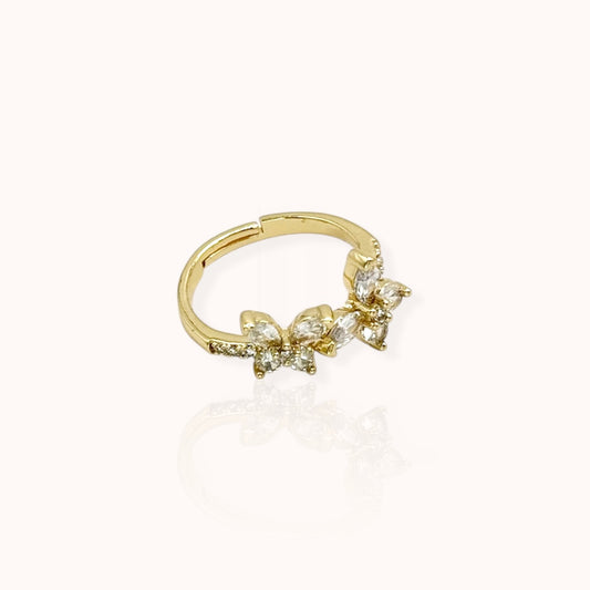 Anillo Nuvea